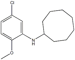 N-(5-chloro-2-methoxyphenyl)cyclooctanamine 구조식 이미지