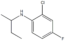 N-(butan-2-yl)-2-chloro-4-fluoroaniline Structure