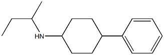 N-(butan-2-yl)-4-phenylcyclohexan-1-amine Structure