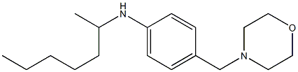 N-(heptan-2-yl)-4-(morpholin-4-ylmethyl)aniline 구조식 이미지