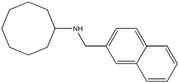 N-(naphthalen-2-ylmethyl)cyclooctanamine 구조식 이미지