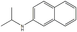 N-(propan-2-yl)naphthalen-2-amine 구조식 이미지