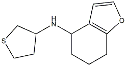 N-(thiolan-3-yl)-4,5,6,7-tetrahydro-1-benzofuran-4-amine 구조식 이미지