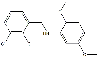 N-[(2,3-dichlorophenyl)methyl]-2,5-dimethoxyaniline 구조식 이미지