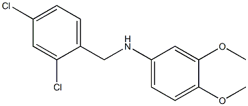 N-[(2,4-dichlorophenyl)methyl]-3,4-dimethoxyaniline Structure