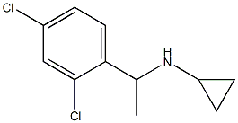 N-[1-(2,4-dichlorophenyl)ethyl]cyclopropanamine Structure