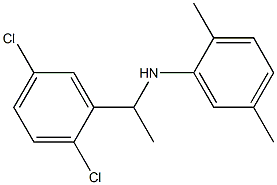 N-[1-(2,5-dichlorophenyl)ethyl]-2,5-dimethylaniline 구조식 이미지