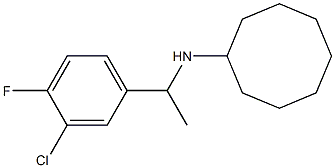 N-[1-(3-chloro-4-fluorophenyl)ethyl]cyclooctanamine 구조식 이미지