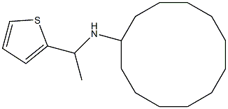 N-[1-(thiophen-2-yl)ethyl]cyclododecanamine 구조식 이미지