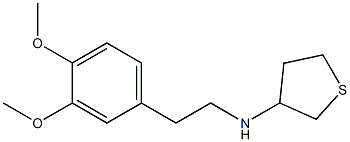 N-[2-(3,4-dimethoxyphenyl)ethyl]thiolan-3-amine Structure