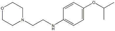 N-[2-(morpholin-4-yl)ethyl]-4-(propan-2-yloxy)aniline Structure