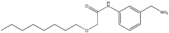 N-[3-(aminomethyl)phenyl]-2-(octyloxy)acetamide Structure