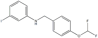 N-{[4-(difluoromethoxy)phenyl]methyl}-3-iodoaniline 구조식 이미지
