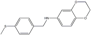 N-{[4-(methylsulfanyl)phenyl]methyl}-2,3-dihydro-1,4-benzodioxin-6-amine 구조식 이미지