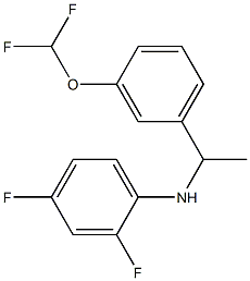 N-{1-[3-(difluoromethoxy)phenyl]ethyl}-2,4-difluoroaniline Structure