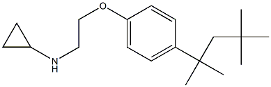 N-{2-[4-(2,4,4-trimethylpentan-2-yl)phenoxy]ethyl}cyclopropanamine 구조식 이미지