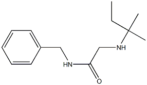 N-benzyl-2-[(2-methylbutan-2-yl)amino]acetamide 구조식 이미지