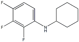 N-cyclohexyl-2,3,4-trifluoroaniline Structure