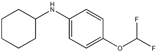 N-cyclohexyl-4-(difluoromethoxy)aniline 구조식 이미지