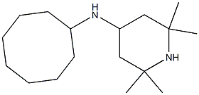 N-cyclooctyl-2,2,6,6-tetramethylpiperidin-4-amine 구조식 이미지