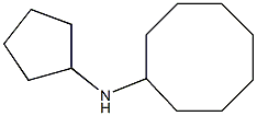 N-cyclopentylcyclooctanamine 구조식 이미지