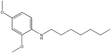 N-heptyl-2,4-dimethoxyaniline 구조식 이미지