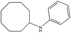 N-phenylcyclooctanamine Structure