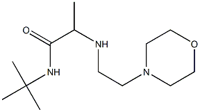 N-tert-butyl-2-{[2-(morpholin-4-yl)ethyl]amino}propanamide Structure