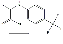 N-tert-butyl-2-{[4-(trifluoromethyl)phenyl]amino}propanamide 구조식 이미지