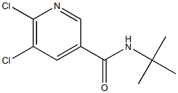 N-tert-butyl-5,6-dichloropyridine-3-carboxamide Structure