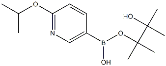 2-Isopropoxypyridine-5-boronic acid pinacol ester 구조식 이미지