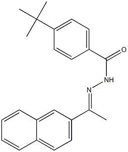 4-(tert-butyl)-N'-[(E)-1-(2-naphthyl)ethylidene]benzohydrazide 구조식 이미지