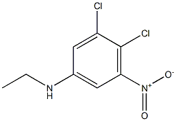 N-Ethyl-3,4-dichloro-5-nitroaniline 구조식 이미지