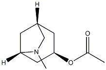 Acetic acid [1R,3R,5S,(-)]-6-methyl-6-azabicyclo[3.2.1]octane-3-yl ester 구조식 이미지