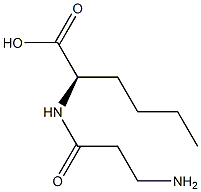 (R)-2-(3-Aminopropanoylamino)hexanoic acid 구조식 이미지