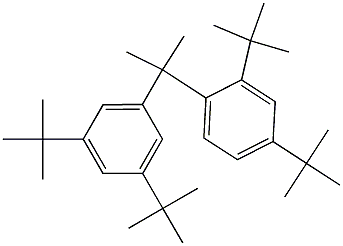 2-(2,4-Di-tert-butylphenyl)-2-(3,5-di-tert-butylphenyl)propane Structure