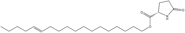 (S)-5-Oxopyrrolidine-2-carboxylic acid 13-octadecenyl ester 구조식 이미지