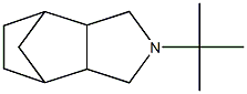 Octahydro-2-(tert-butyl)-4,7-methano-2H-isoindole Structure