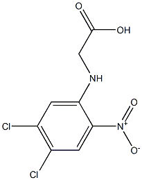 N-(4,5-Dichloro-2-nitrophenyl)glycine Structure