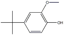 6-Methoxy-4-tert-butylphenol 구조식 이미지