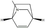 (1R,4S)-8-Methyl-8-azabicyclo[2.2.2]oct-2-ene 구조식 이미지