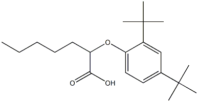 2-(2,4-Di-tert-butylphenoxy)heptanoic acid Structure