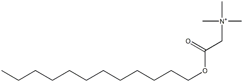 Trimethyl[2-(dodecyloxy)-2-oxoethyl]aminium Structure