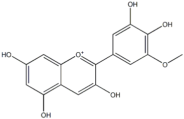 3,3',4',5,7-Pentahydroxy-5'-methoxyflavylium Structure
