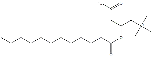 Lauroyl L-Carnitine 구조식 이미지