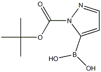 1-Boc-Pyrazole-5-boronic acid 구조식 이미지