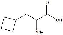 3-cyclobutyl-DL-alanine Structure