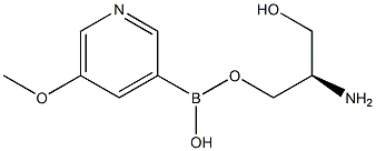 5-methoxypyridine-3-boronic acid sterol ester Structure