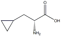 3-cyclopropyl-D-alanine 구조식 이미지