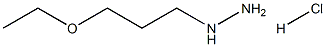 (3-Ethoxypropyl)hydrazine hydrochloride Structure